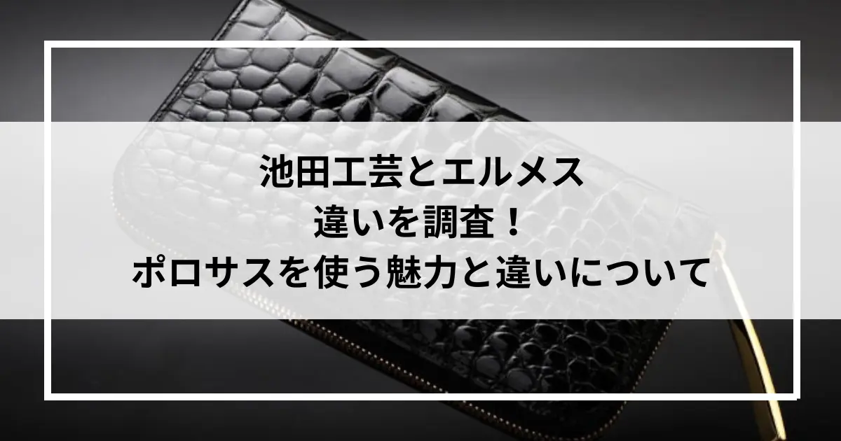 池田工芸とエルメスの違いを調査！同じ素材ポロサスを使う魅力と違いについて